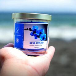 Blue Orchid - Fireside Glow Candles | 140 Gram Blended Soy Wax Scented Candle With Metal Lid
