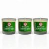 Mosquito Repellent Candle (Made with Citronella Essential Oil) – Fireside Glow Candles | Set of 3 | Blended Soy Wax Scented Candle