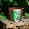 Mosquito Repellent Candle (Made With Citronella Essential Oil) – Fireside Glow Candles | Metal Bucket | Blended Soy Wax Scented Candle